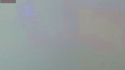 maxim_rod live cam on Cam4