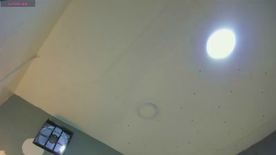 maxim_rod live cam on Cam4