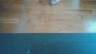 maxwell10066 live cam on Cam4