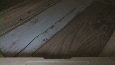 mecchaudcam1 live cam on Cam4