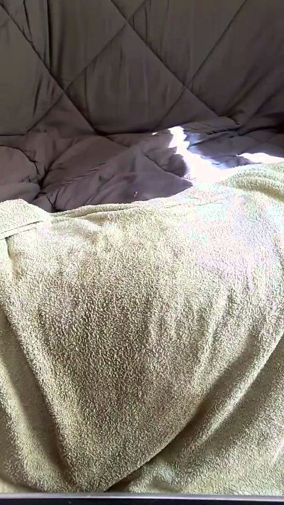 meclr live cam on Cam4