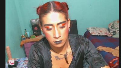 meduza2024 live cam on Cam4