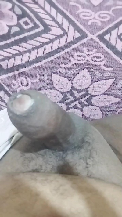meutesao live cam on Cam4