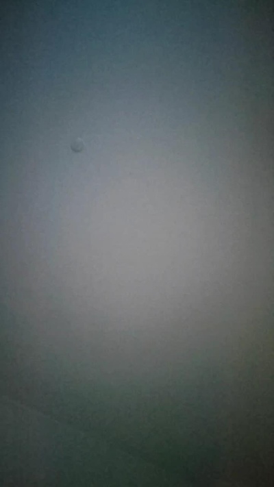 midnightkitten4 live cam on Cam4