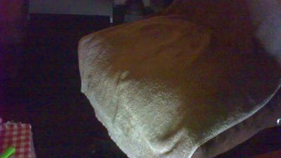 migiano155 live female webcam from France