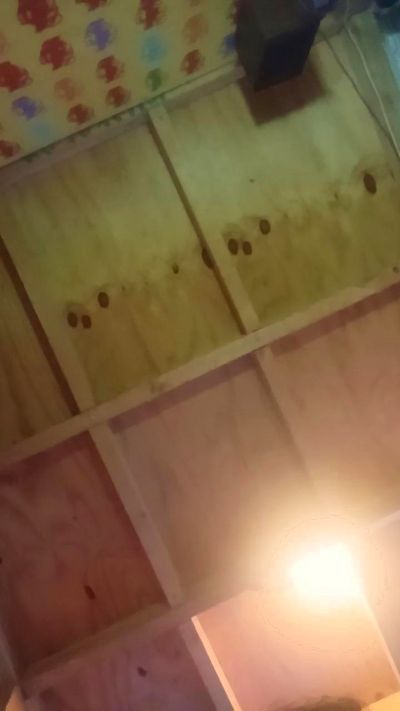 miham1 live cam on Cam4