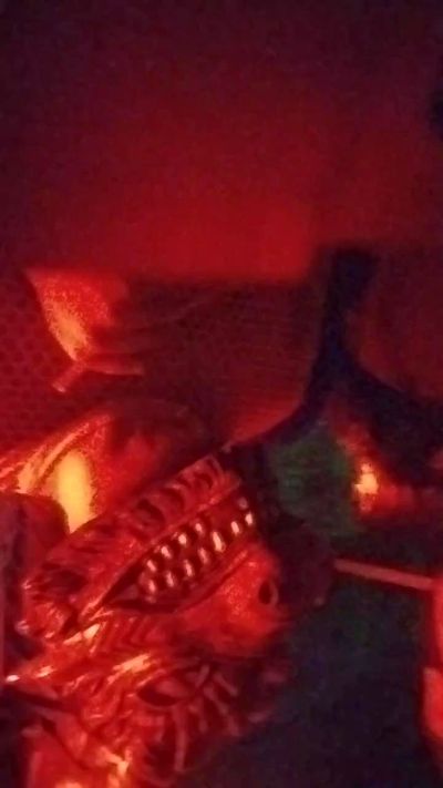 miichellemalv live cam on Cam4
