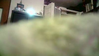 mike888sexy live cam on Cam4
