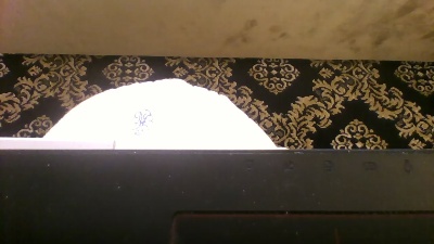 mojojocroco live cam on Cam4