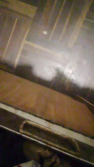 morbo_solo live cam on Cam4