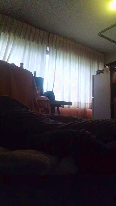 morbo_solo live cam on Cam4