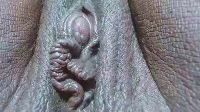 morenahot1X live cam on Cam4