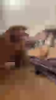 moreno23cmpt live cam on Cam4