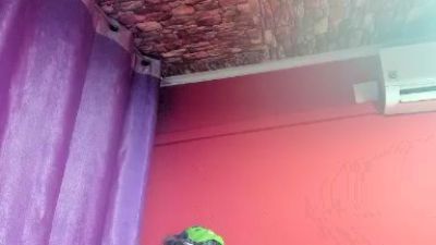 morenobarca8484 live cam on Cam4