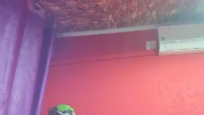 morenobarca8484 live cam on Cam4