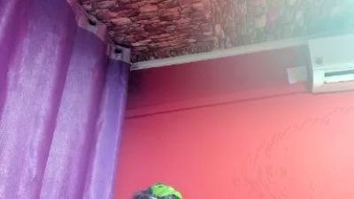 morenobarca8484 live cam on Cam4