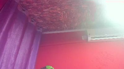 morenobarca8484 live cam on Cam4