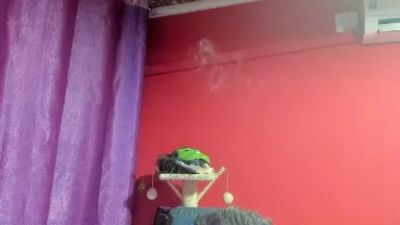 morenobarca8484 live cam on Cam4