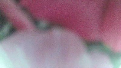 morlaisien29 live cam on Cam4