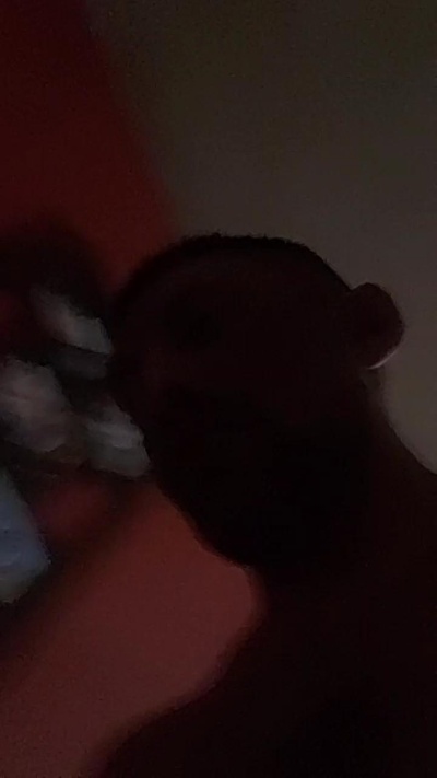 Preview of morocho255