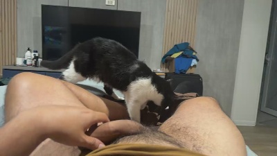 muscleperu1 live cam on Cam4