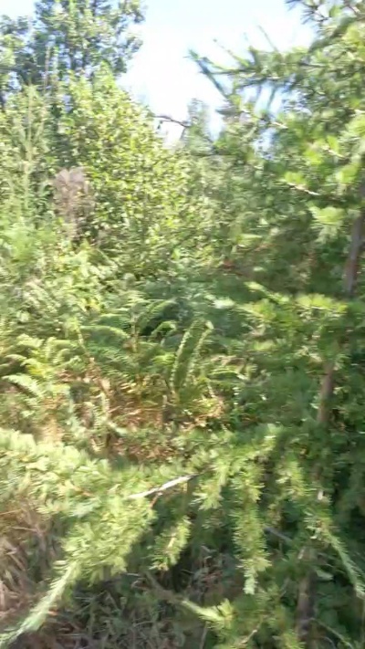 namfgib live cam on Cam4