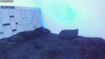 naomi_west_x live cam on Cam4