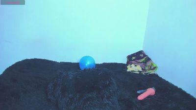 naomi_west_x live cam on Cam4