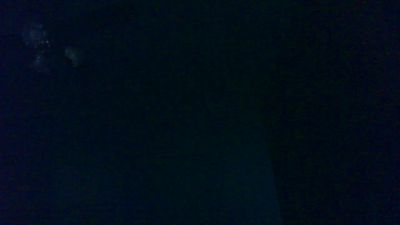napo7431 live cam on Cam4
