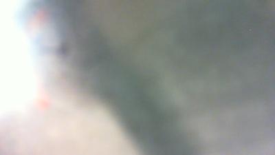 napo7431 live cam on Cam4
