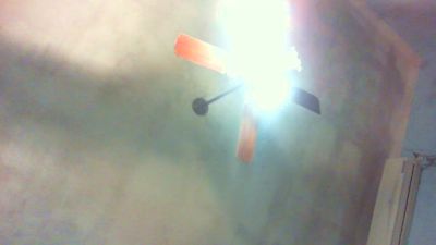 napo7431 live cam on Cam4