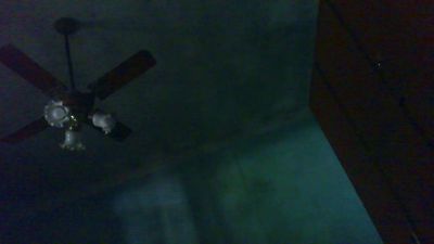napo7431 live cam on Cam4