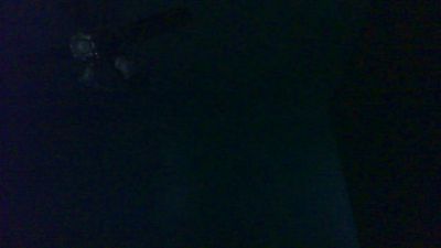 napo7431 live cam on Cam4