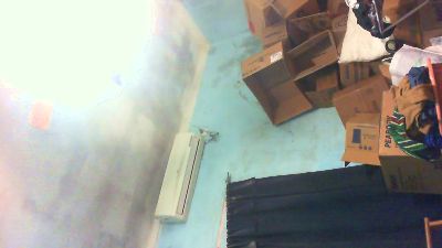 napo7431 live cam on Cam4