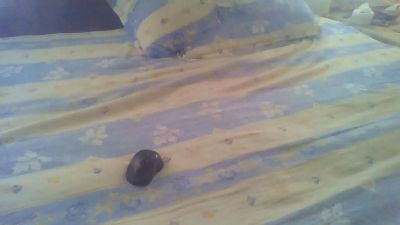 naskicha live cam on Cam4