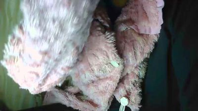 natacha1 live cam on Cam4