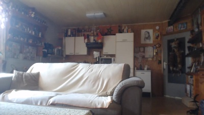 naturistboy3 live cam on Cam4