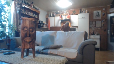 naturistboy3 live cam on Cam4