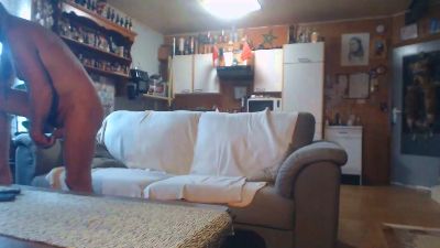 naturistboy3 live cam on Cam4