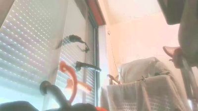 naughycouple36 live cam on Cam4