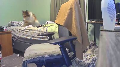ndcowpoke live cam on Cam4