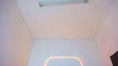 needy_neighbor live cam on Cam4