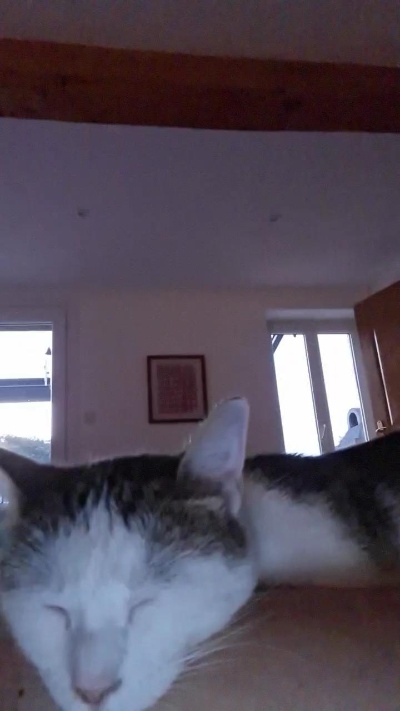 newcal32 live cam on Cam4