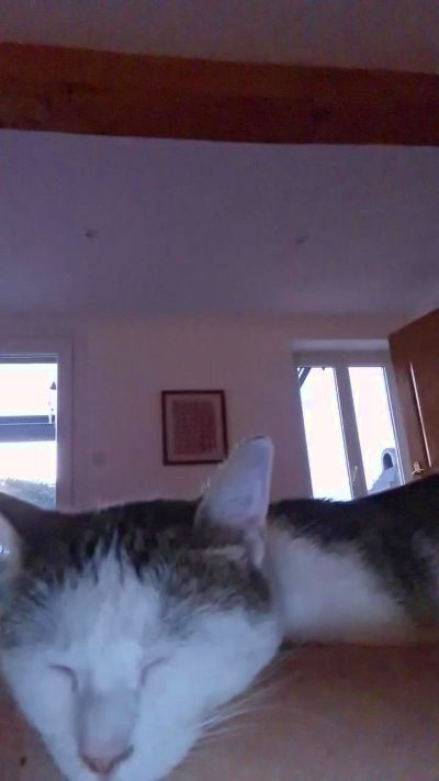 newcal32 live cam on Cam4