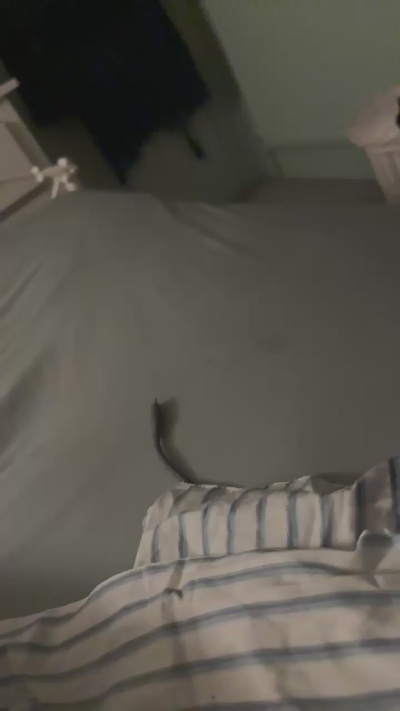 niceguy1919 live cam on Cam4