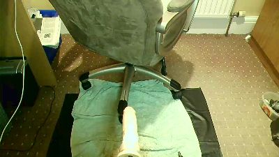 nolimits967 live cam on Cam4