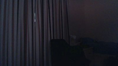 notarealman2025 live cam on Cam4