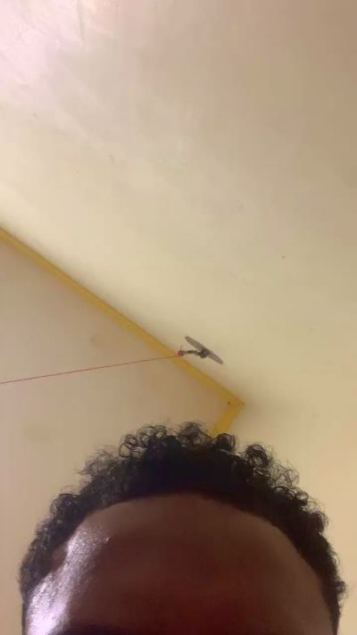 novindot20cm_ live cam profile