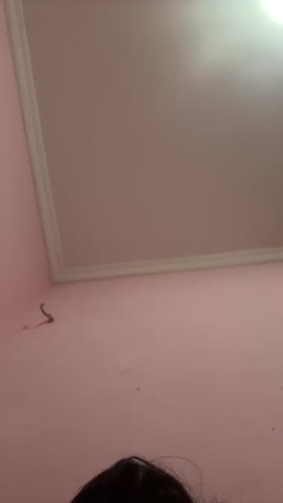 Webcam homme en direct de Brésil avec novinho1978