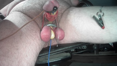 nudepenguin live cam on Cam4